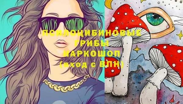 дживик Баксан