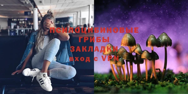 дживик Баксан